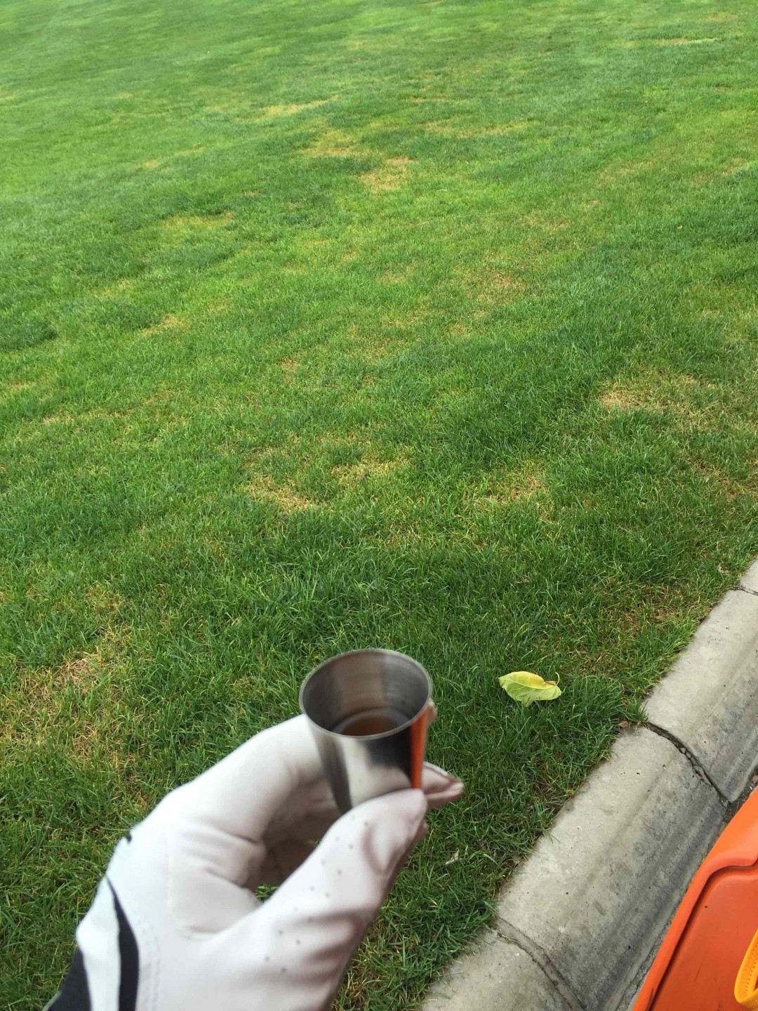 带个小酒壶，灌上最爱的酒，球场走起来