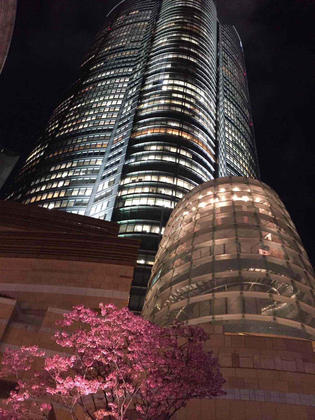 入夜东瀛一杯酒