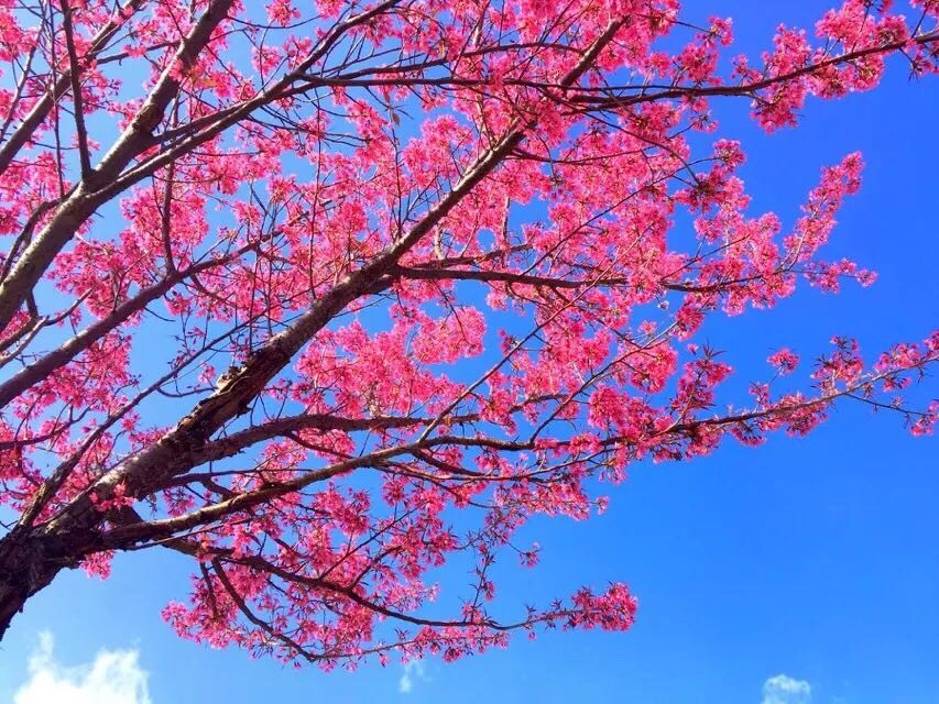 远方有诗，更有蓝蓝的天空…