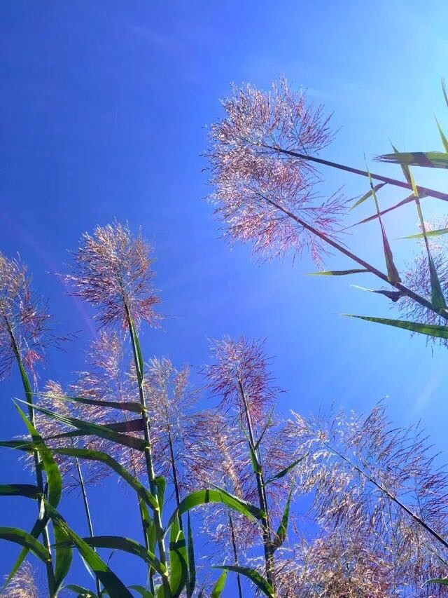 远方有诗，更有蓝蓝的天空…