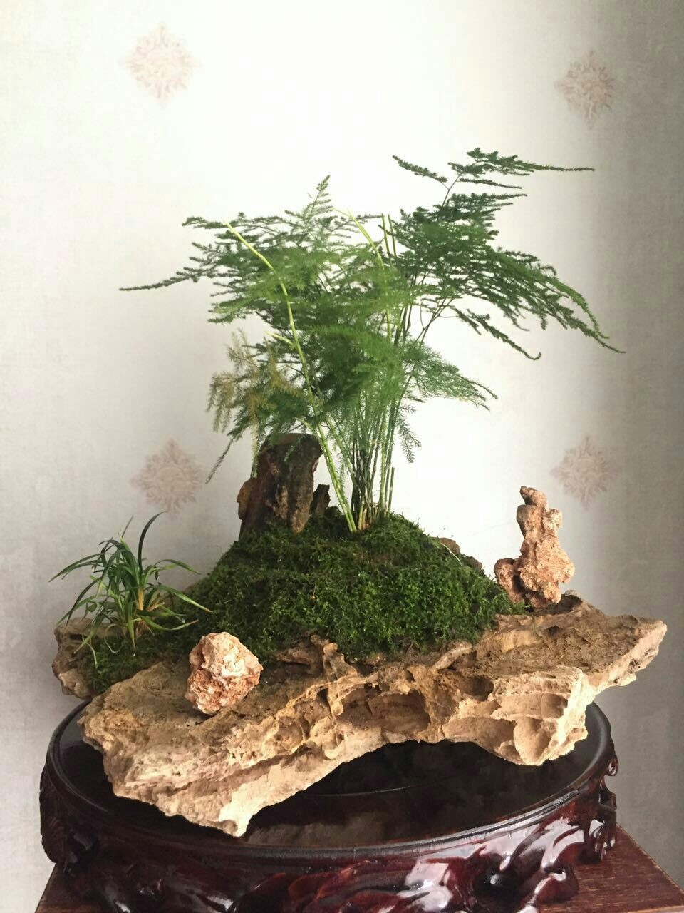 发的不是酒可以么？