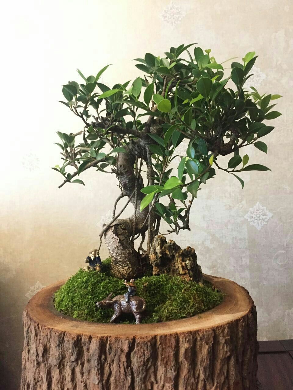 发的不是酒可以么？