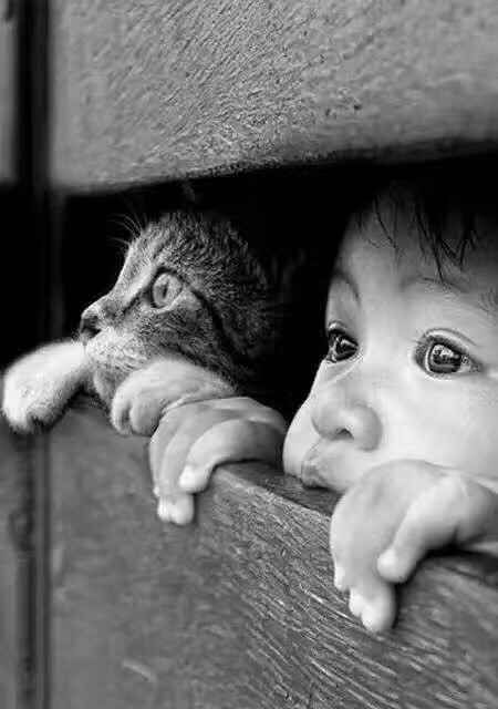 猜答案啦