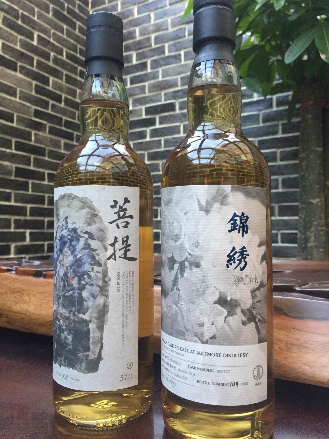 终于给菩提找了个伴儿