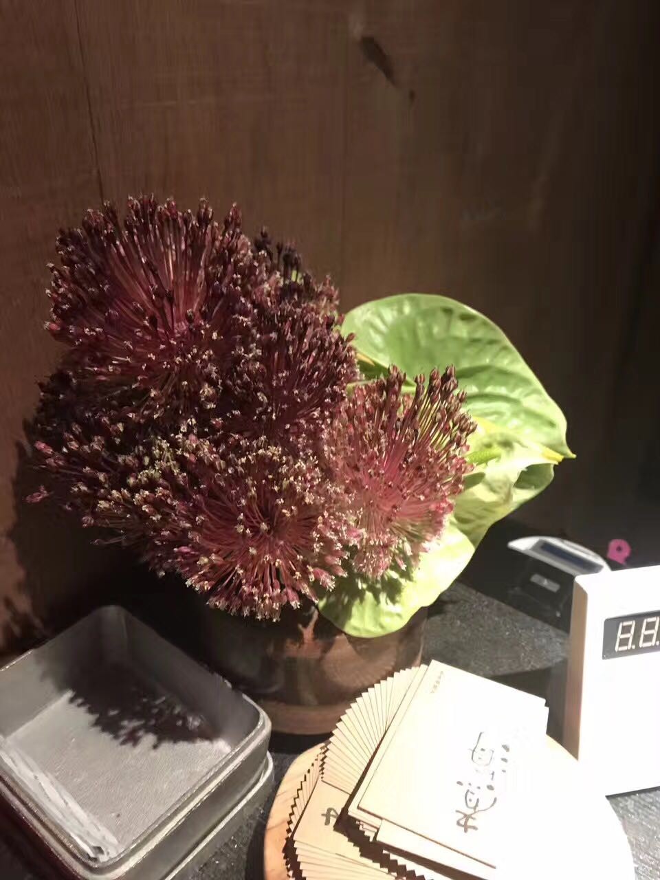背回来的