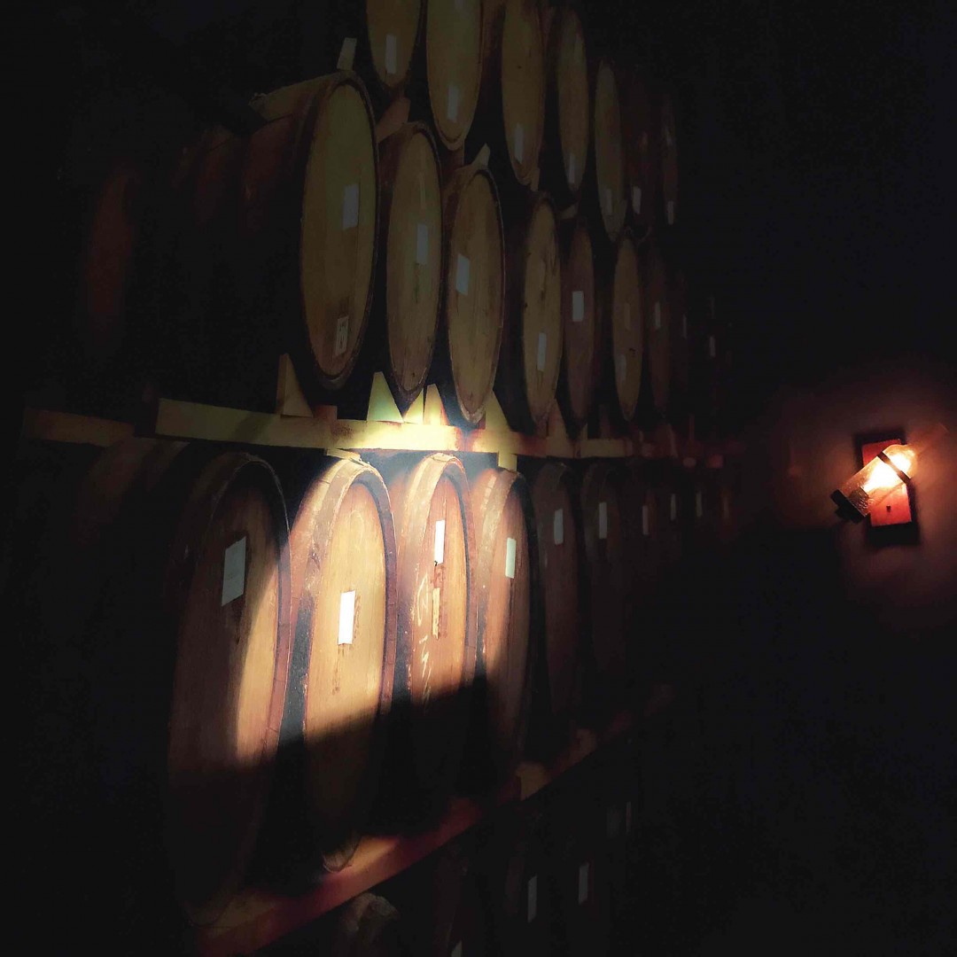 成都成都，约一个小酒馆…