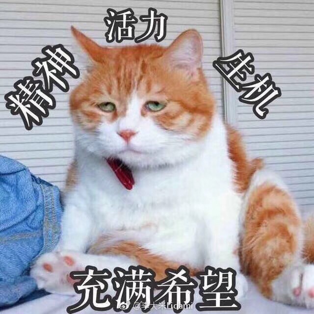 贴贴贴自己的标～