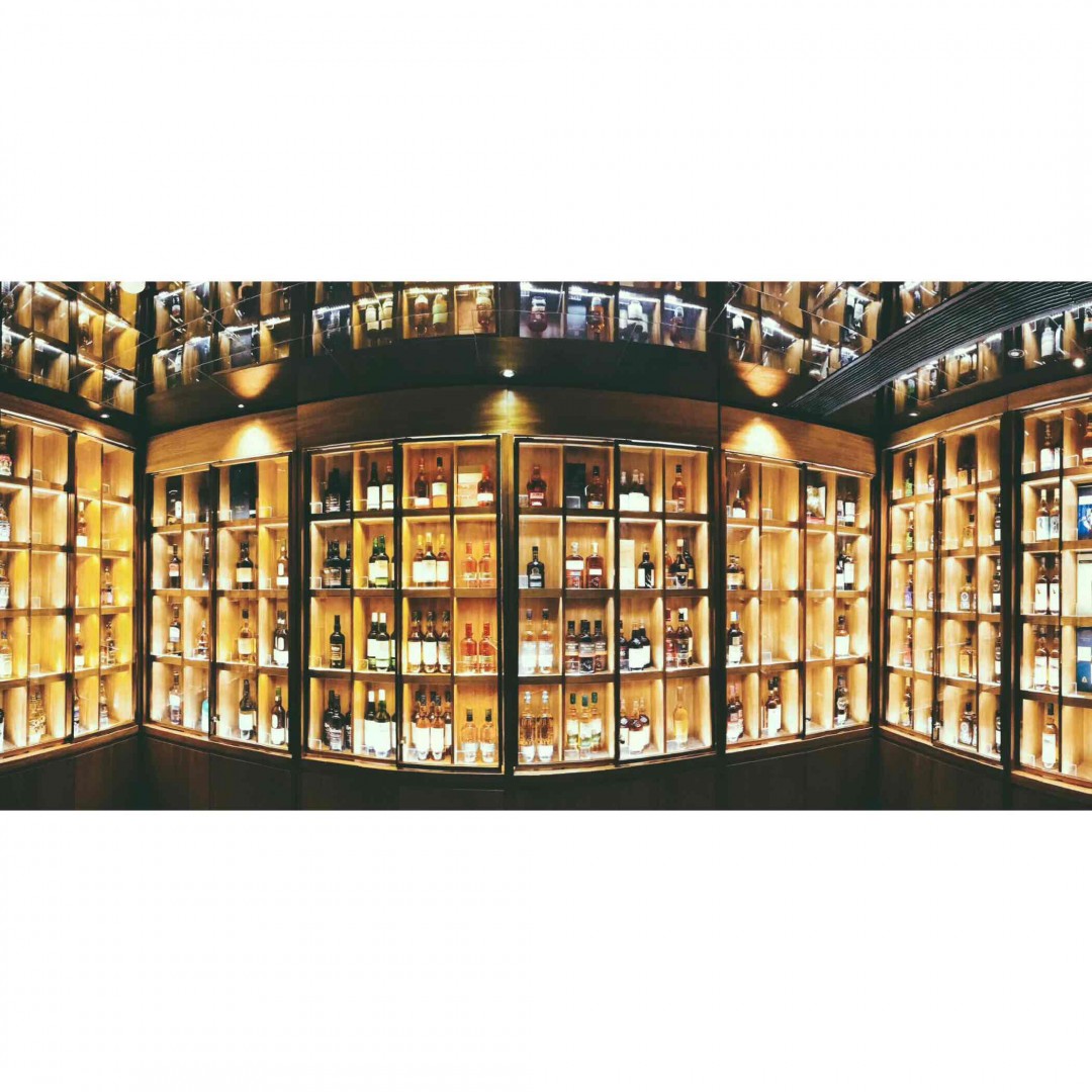 右想去宋吧了🍸