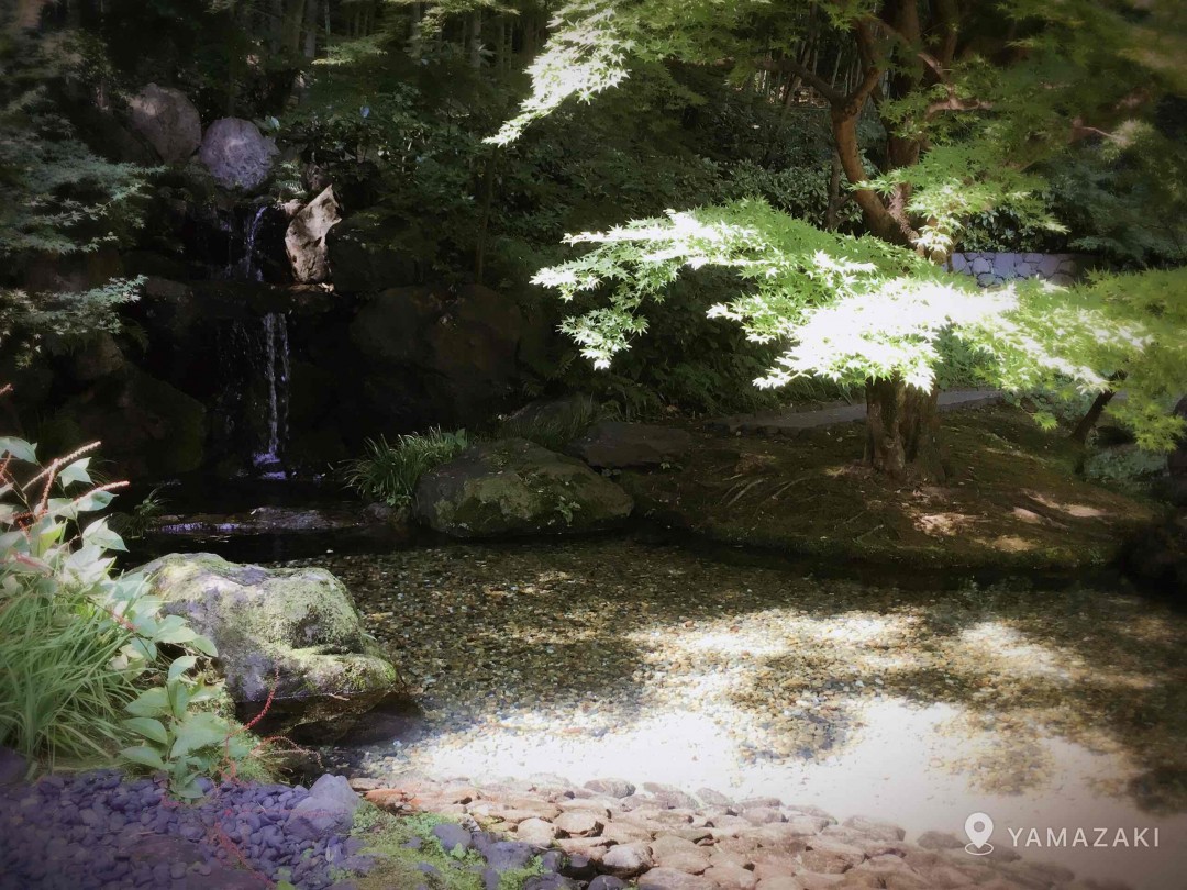 访山崎 1