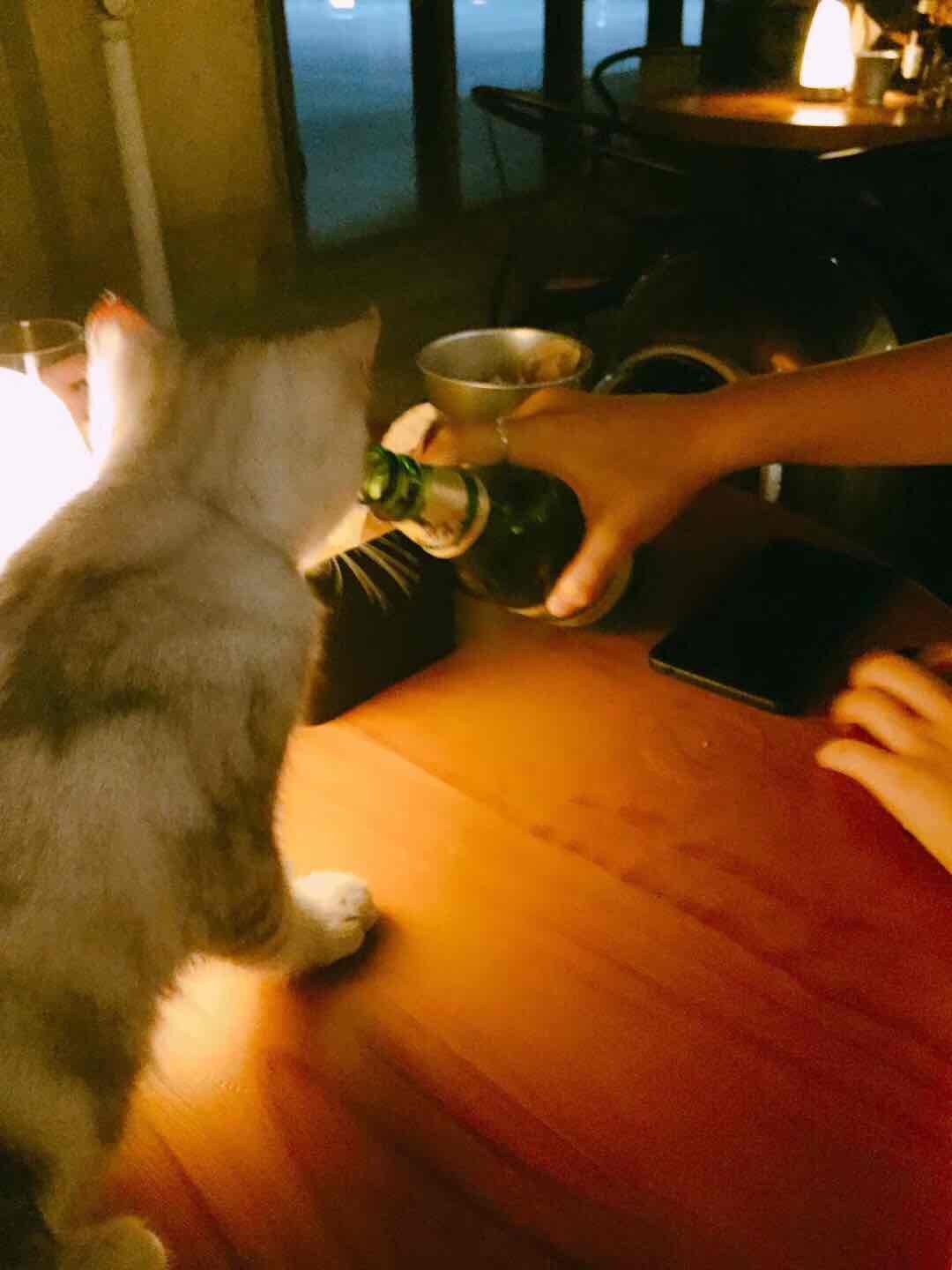 🍷🥃🍺