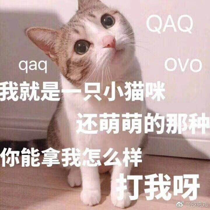 有点萌萌哒