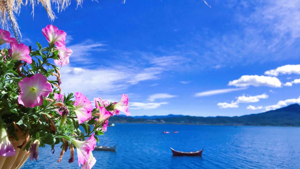 三杯，敬 海子 ～