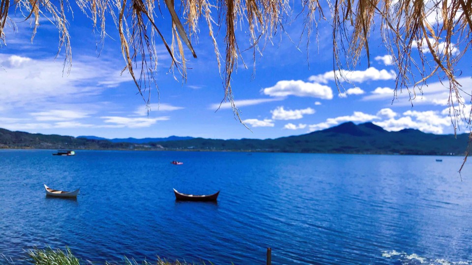 三杯，敬 海子 ～