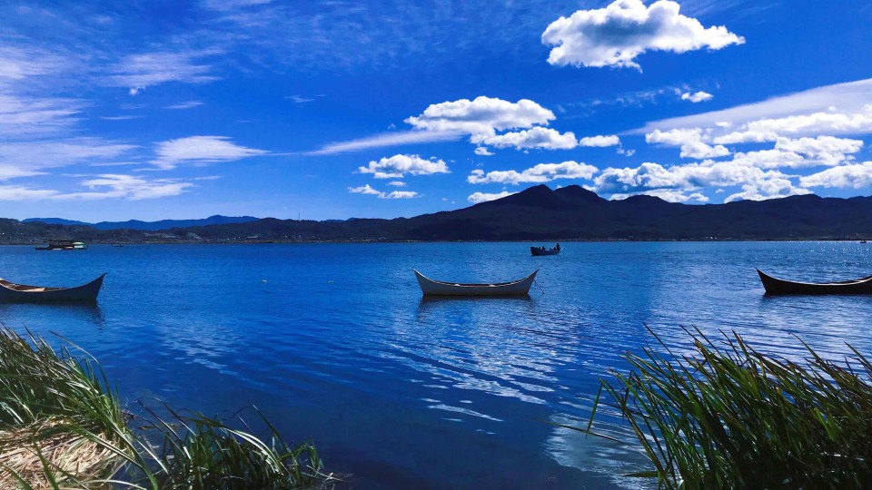 三杯，敬 海子 ～