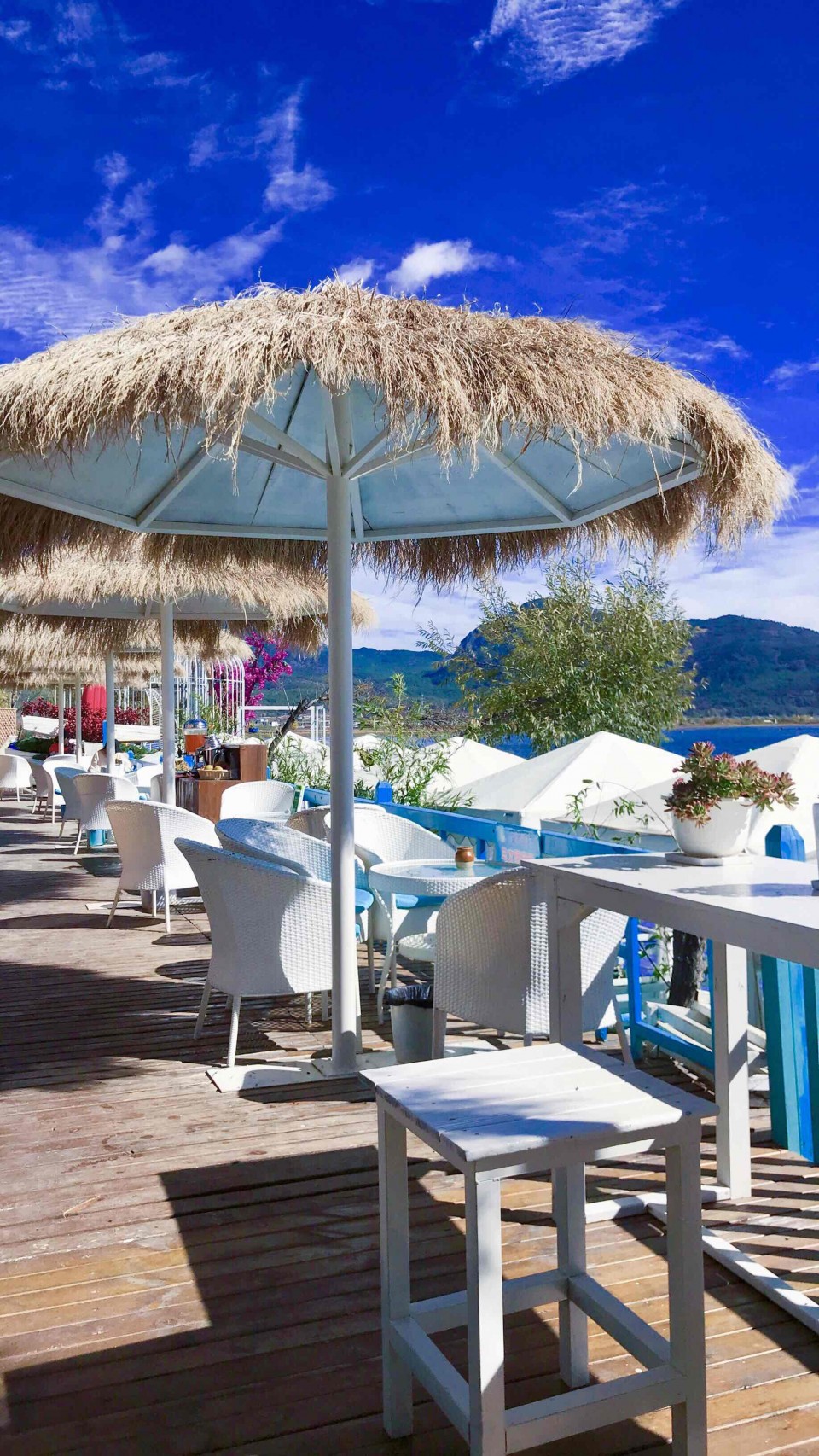 三杯，敬 海子 ～