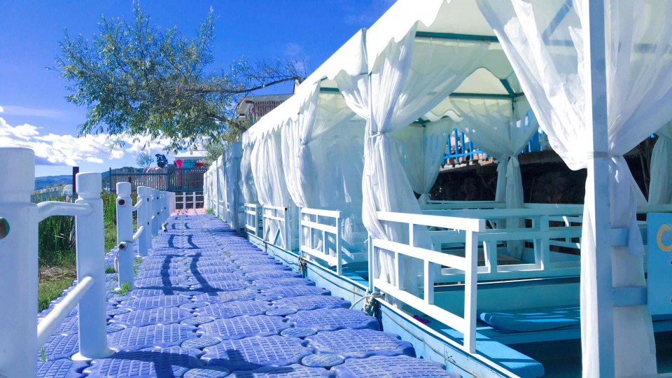 三杯，敬 海子 ～