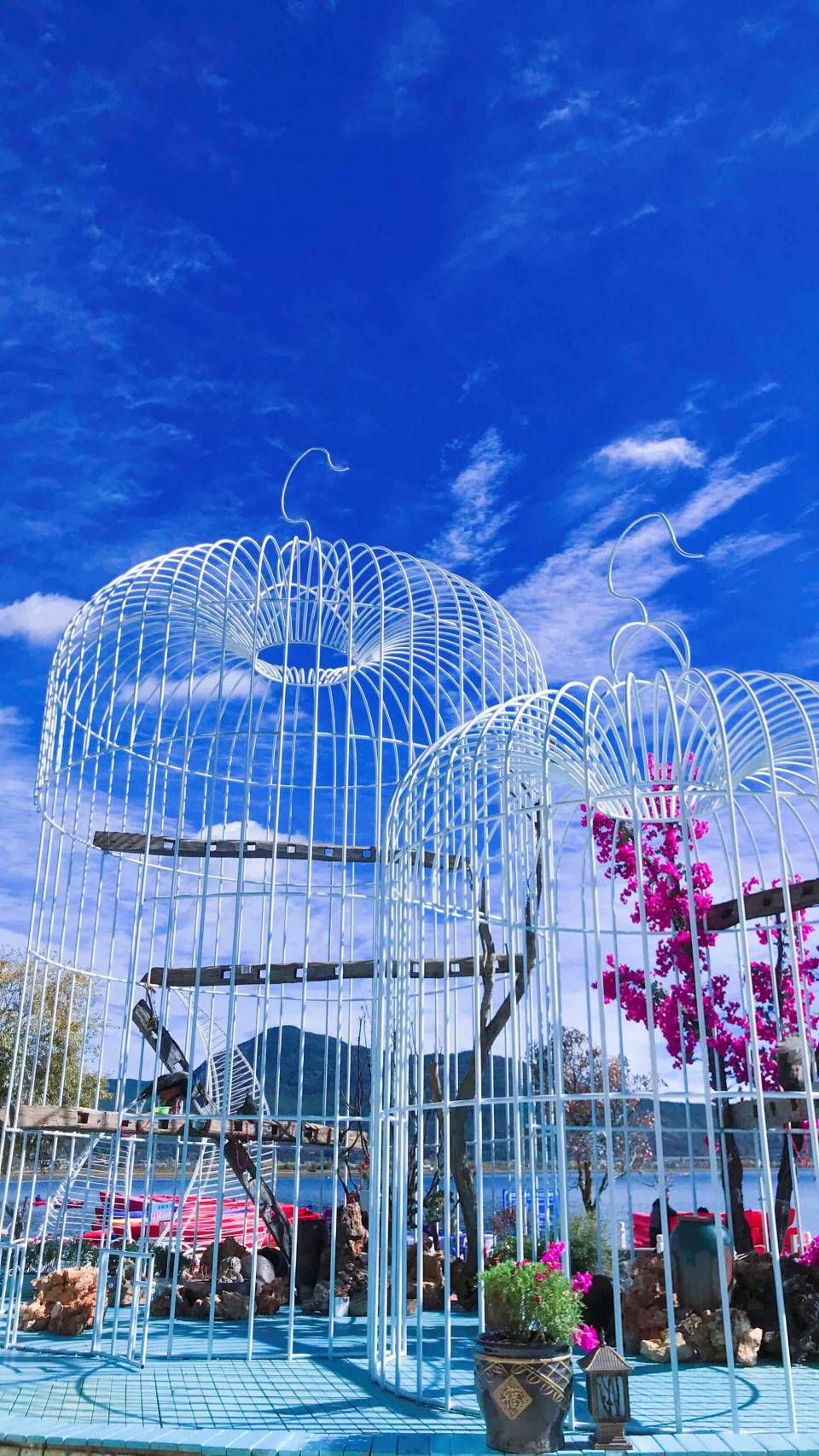 三杯，敬 海子 ～