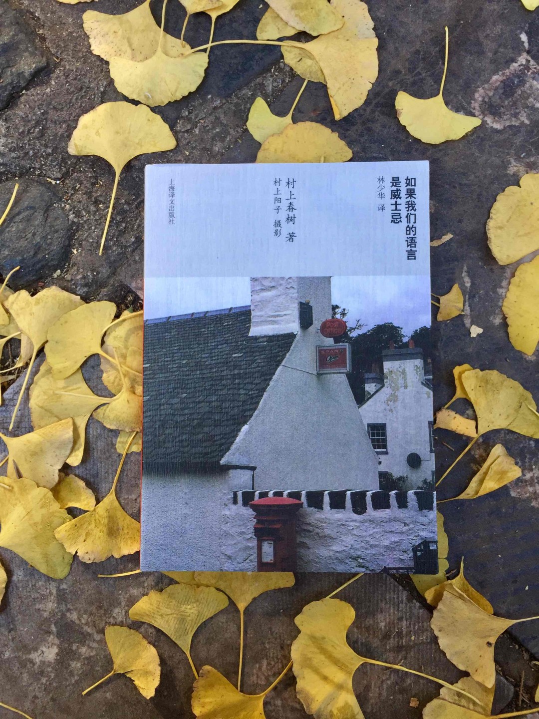 如果我们的语言是威士忌
