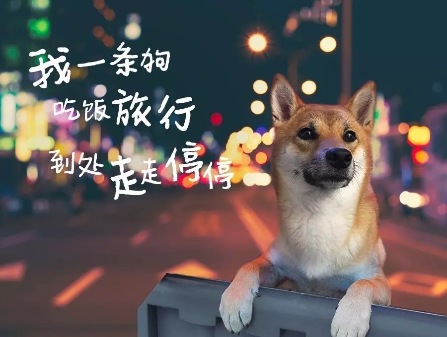 送图，略表心意