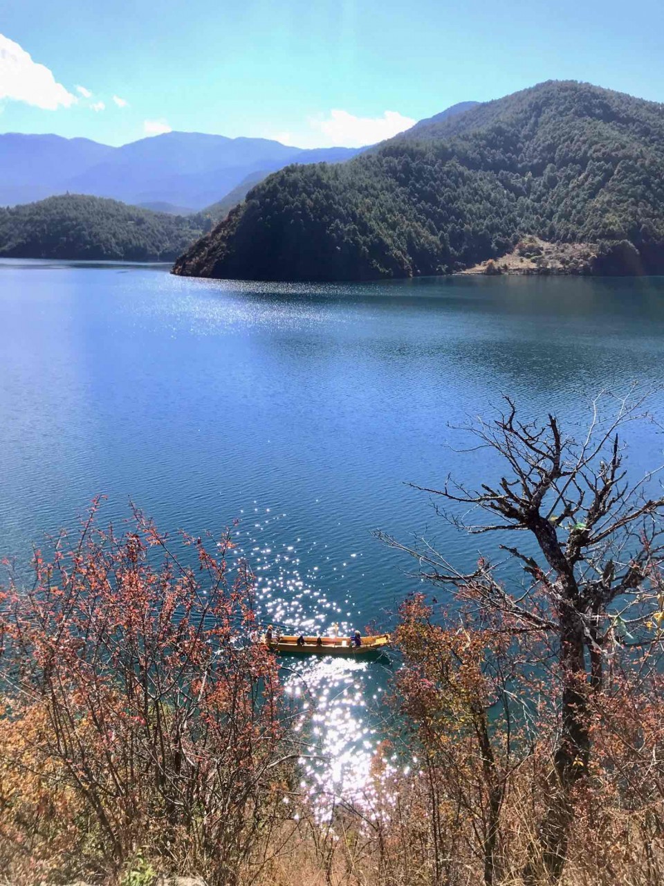 水波里的艳影在我心头荡漾
