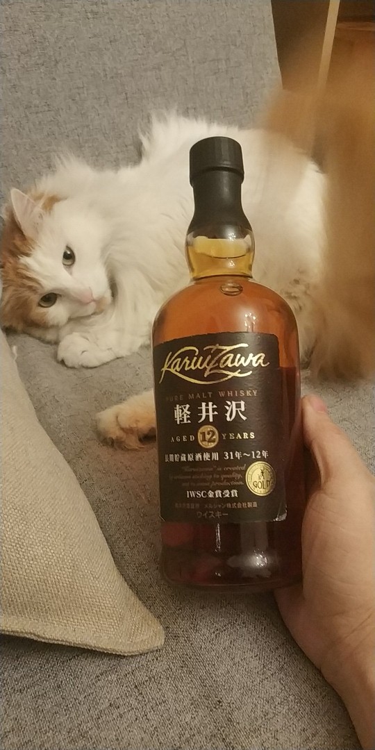 今天喝日威