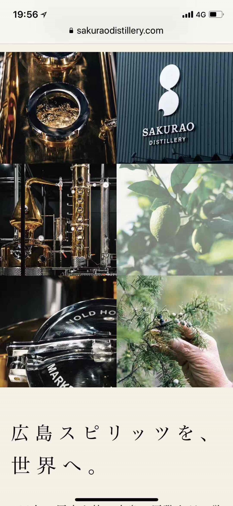 蒸馏器很小，gin 和whisky 双管齐下