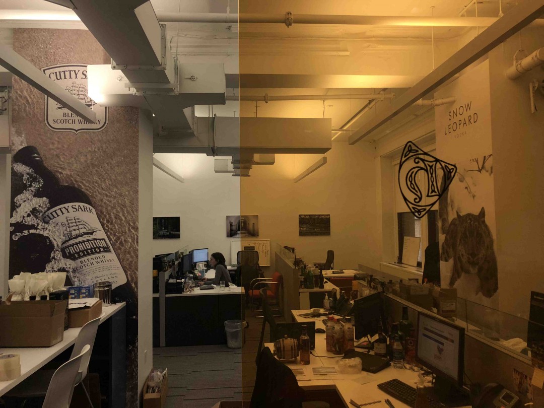 爱丁顿北美分公司之行