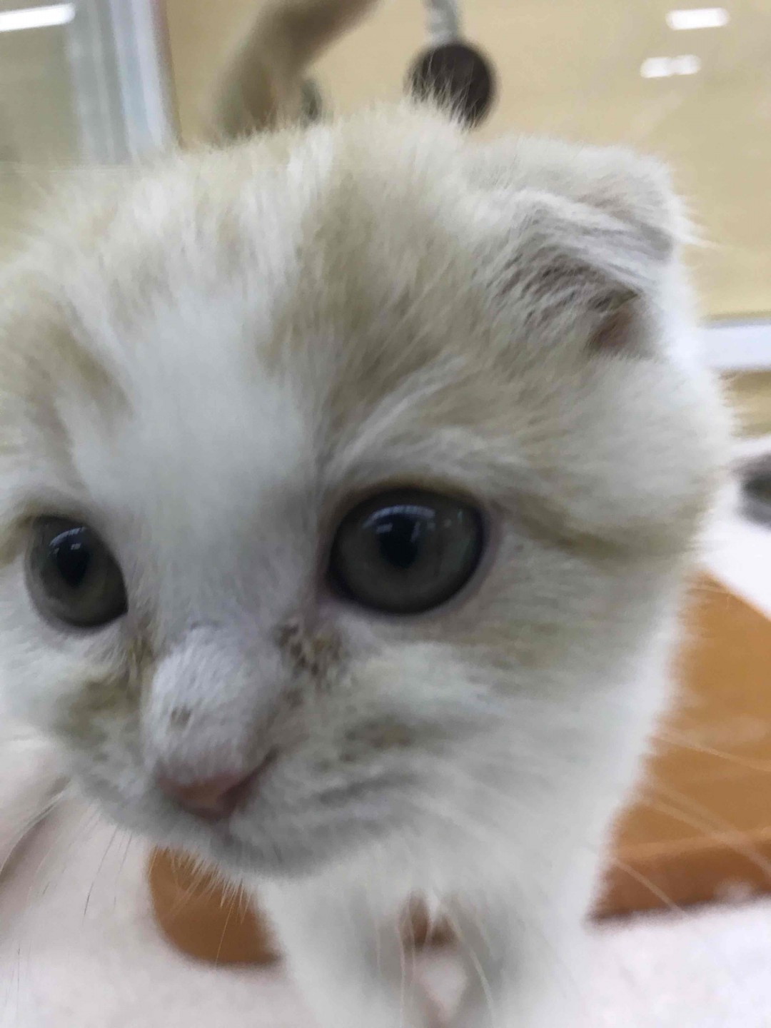 摆满了一半，继续！