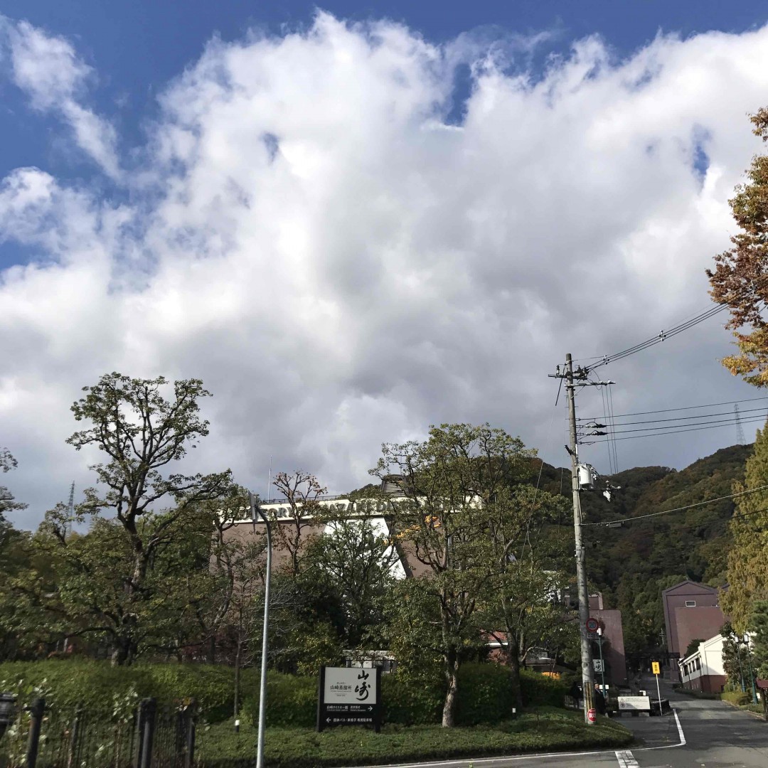 有没有人觉得r威士忌有保值属性