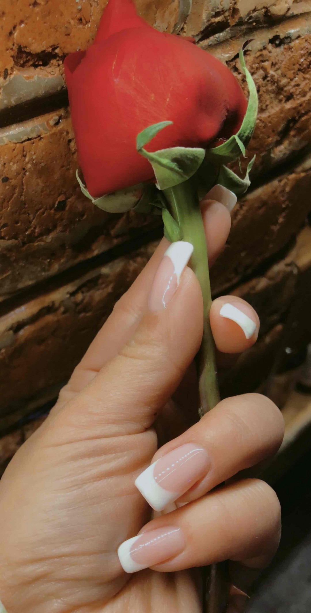 威士忌是真爱！