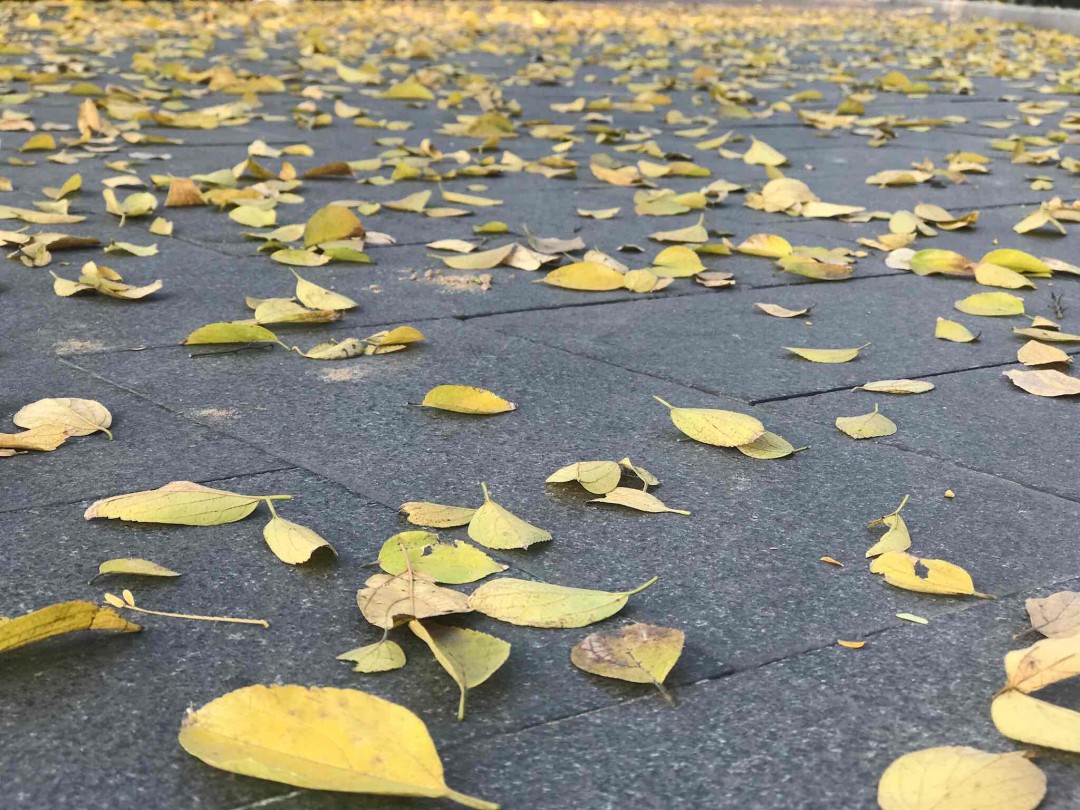 2017即将结束 开支壕酒慰劳下自己 第一次喝这么高度数的酒 还不错能接受