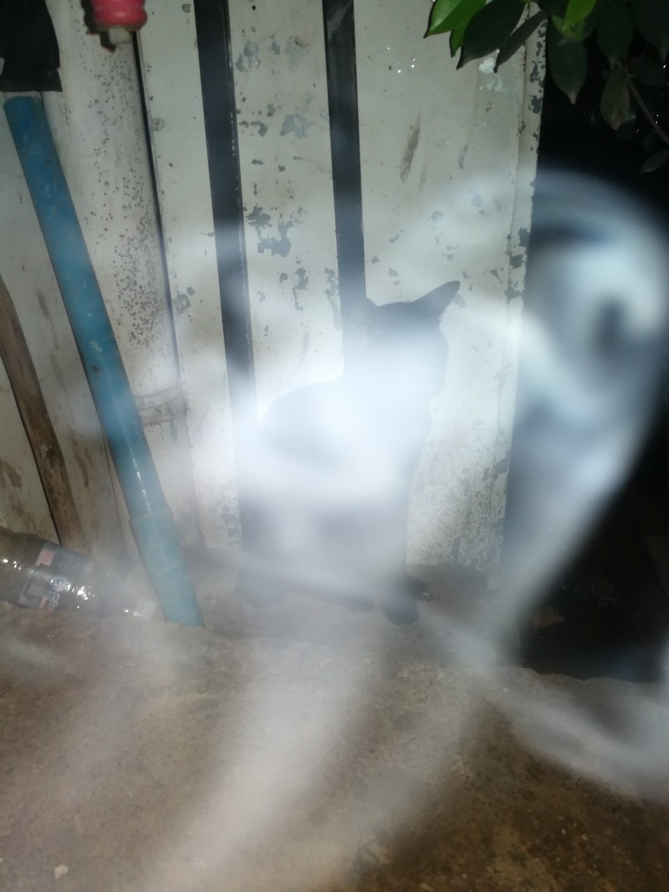 能找到的最好的啤酒了，居然有原厂杯子😆