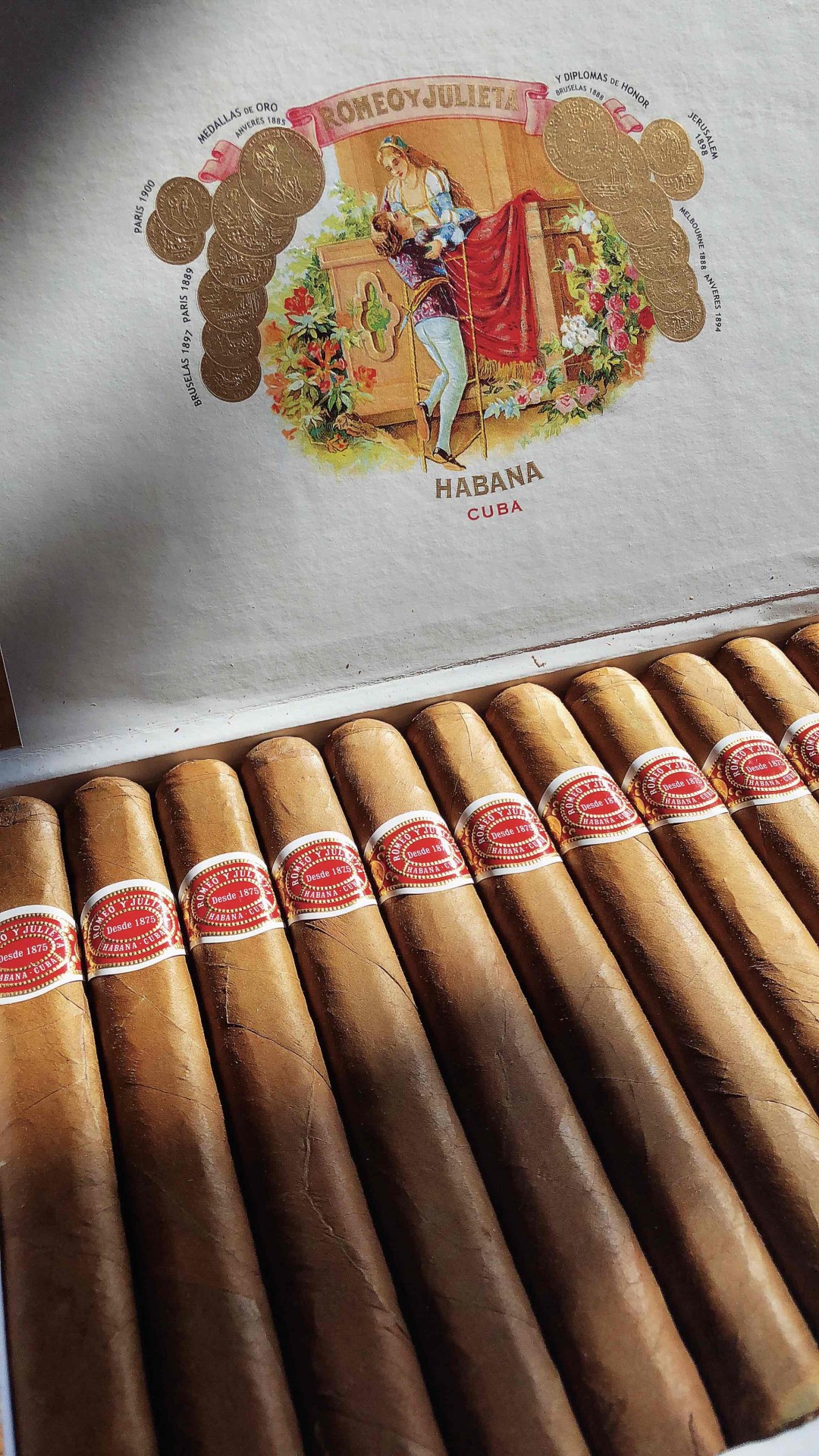 一个赠品挖的坑…