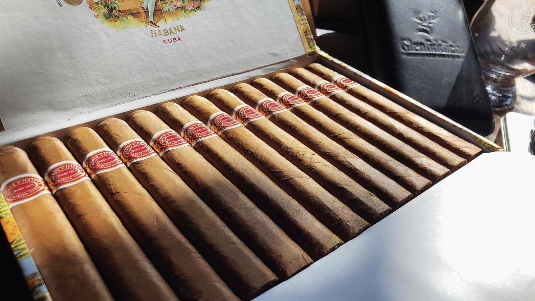 一个赠品挖的坑…