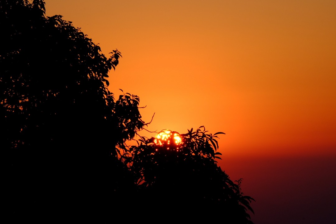 2017.我的威士忌故事