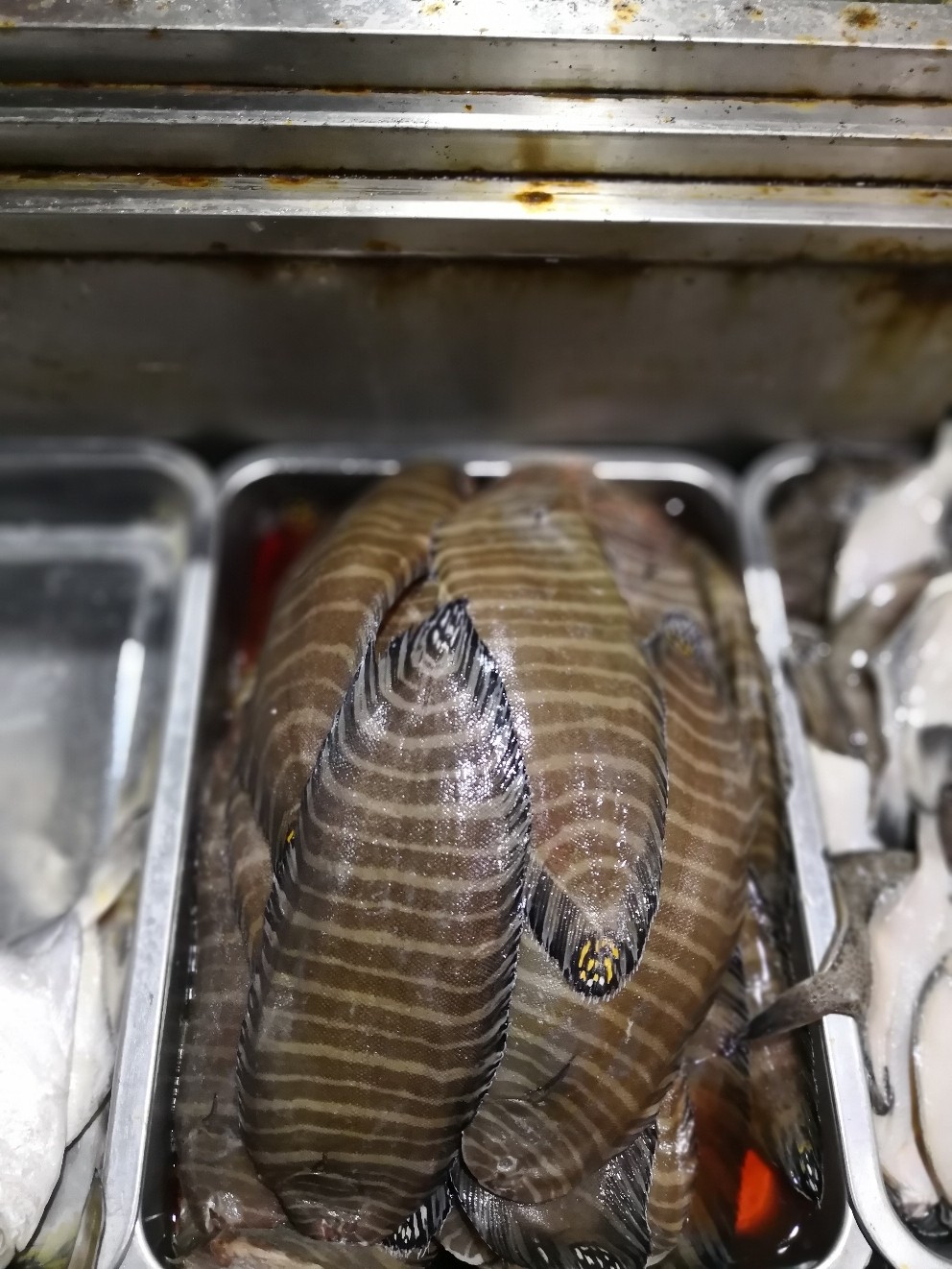 吃这个配点什么酒合适？