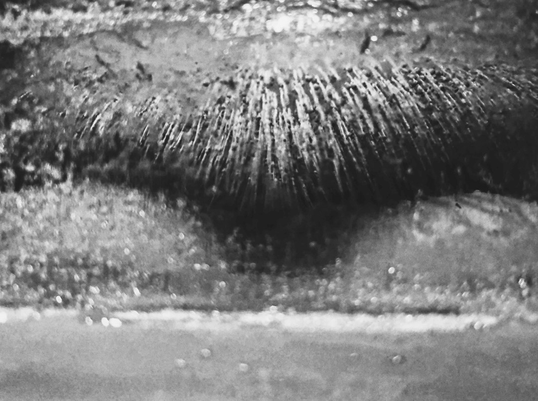 家里做的冰球，不完美的美～