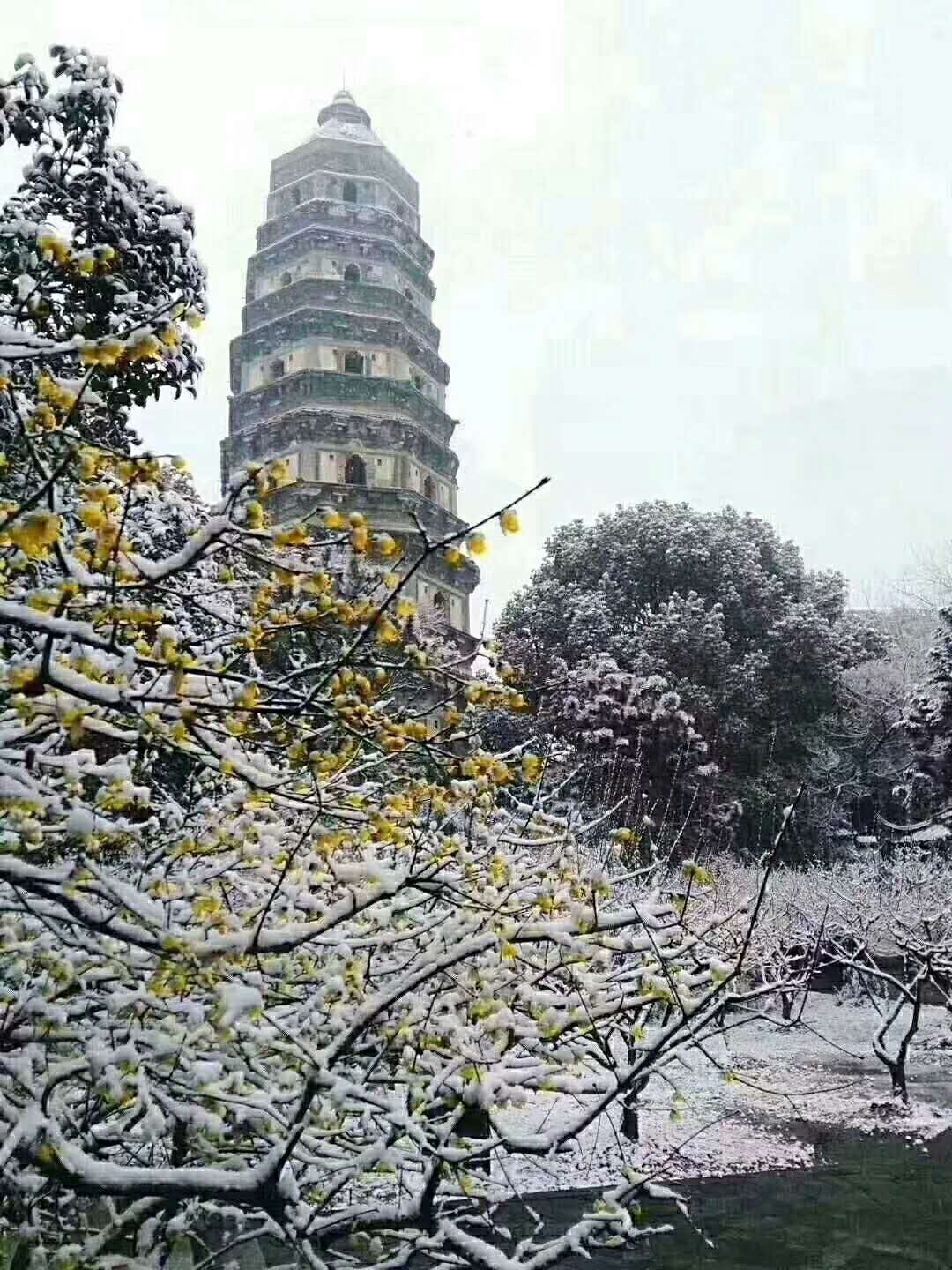 2018的第一场雪西园，网师园，寒山寺，虎丘，沧浪亭<img src='https://sdata.whiskyworm.com/xcxpics/emoji_22.png' class='emoji' />