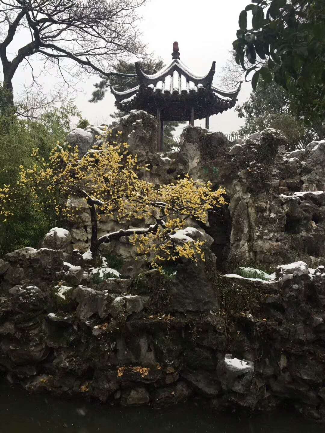 2018的第一场雪西园，网师园，寒山寺，虎丘，沧浪亭<img src='https://sdata.whiskyworm.com/xcxpics/emoji_22.png' class='emoji' />