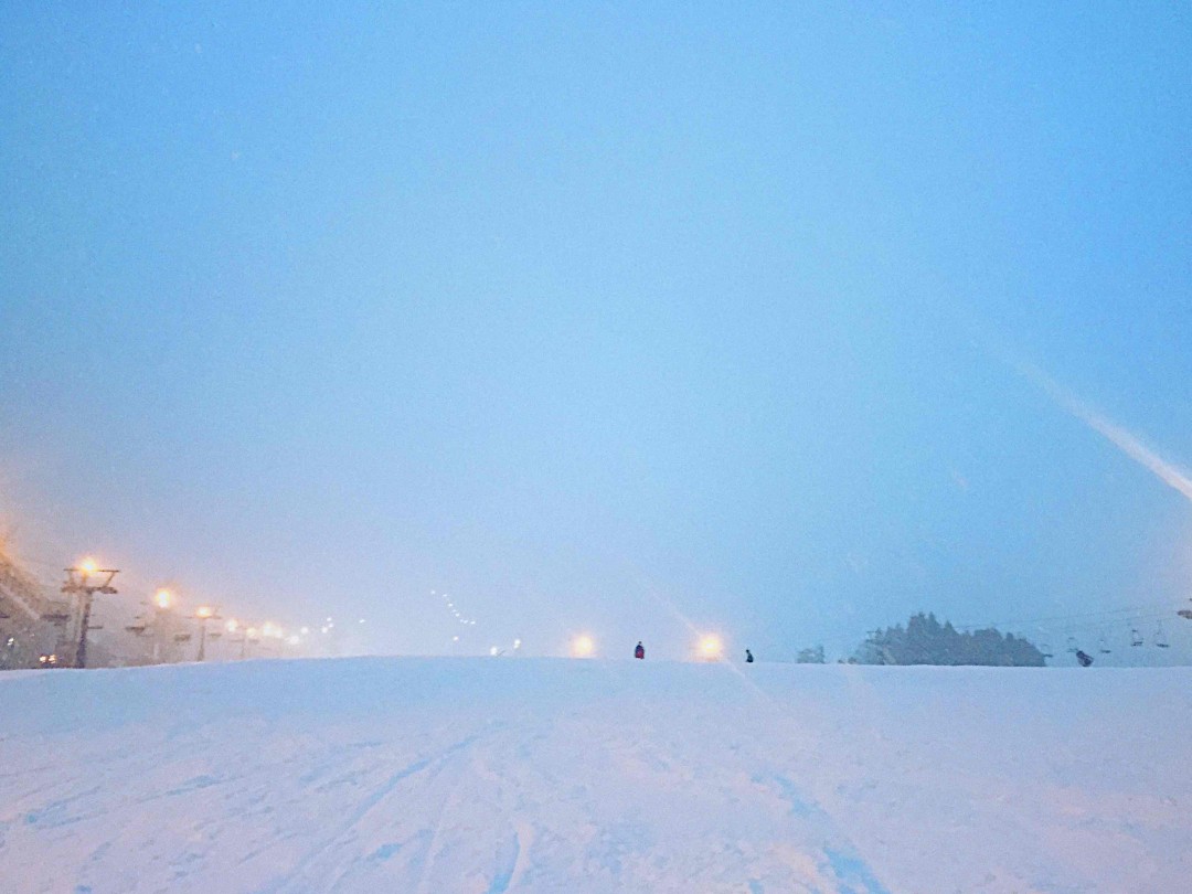 据说魔都下雪了，还好我在长野雪更多～这瓶信州淘宝看到过，这里只卖100RMB不到，容易入口，酒体轻快，淡淡的苹果味和水果甜味，还是年轻。
