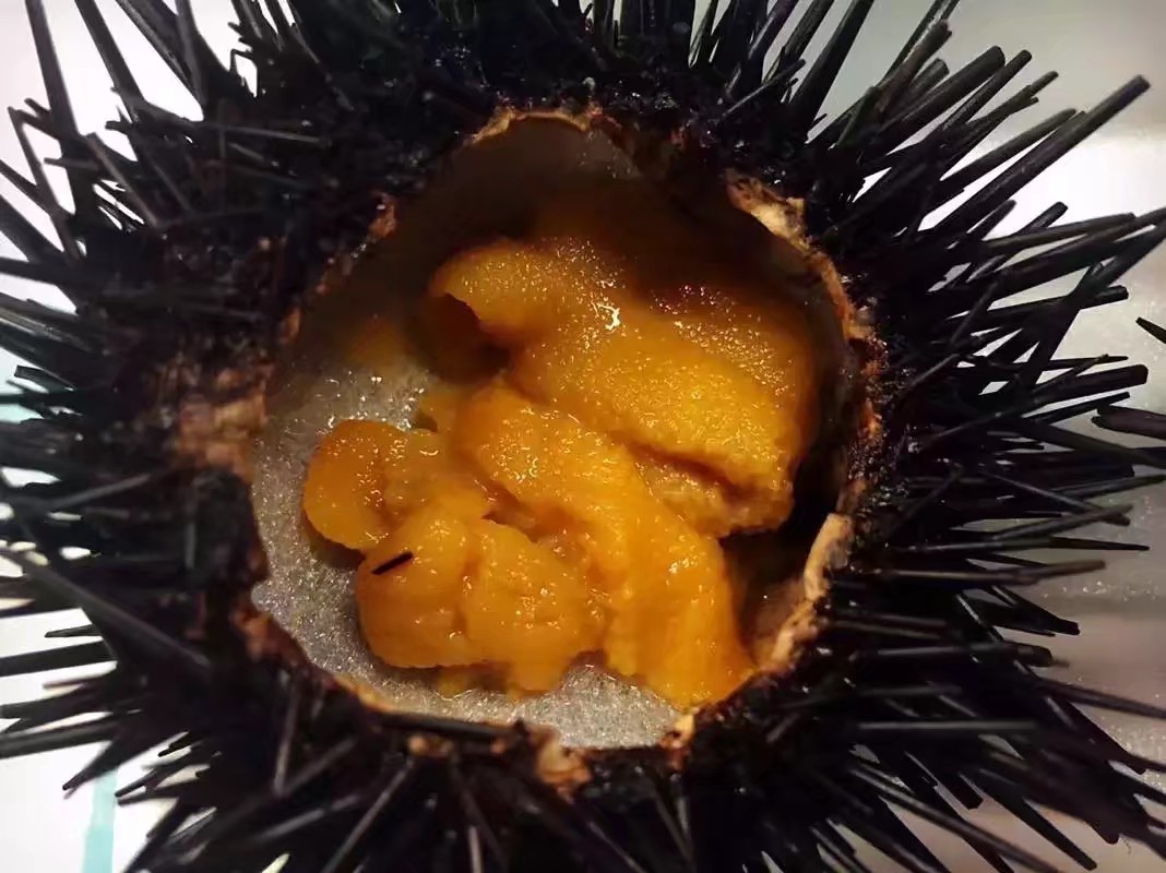 应一个景，樽出51.4