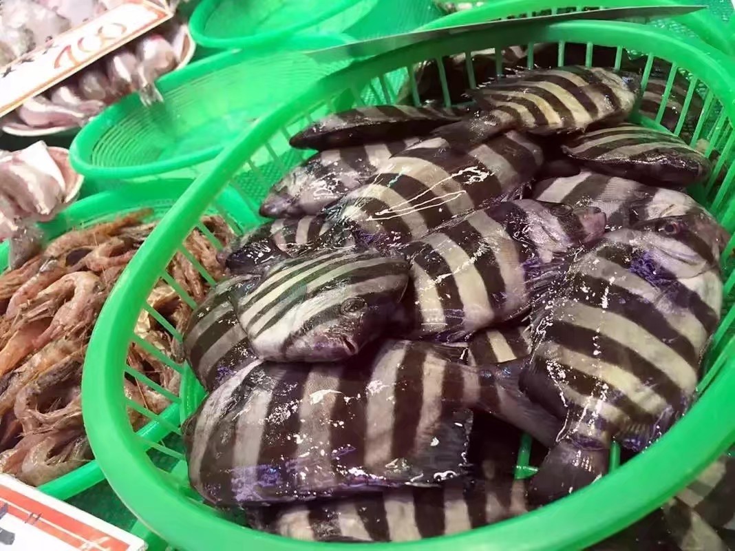 应一个景，樽出51.4