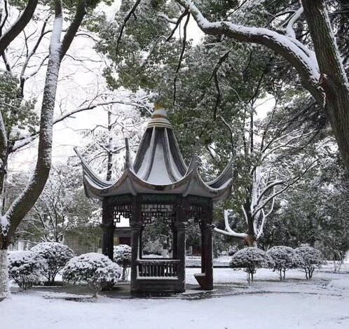 威士忌成了冰酒