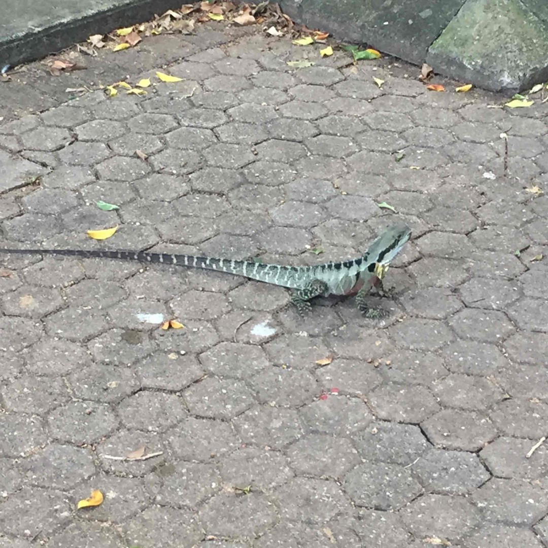 一家日料店的发现，有亮点