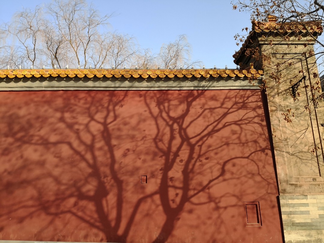 北京的冬天，去喝了杯啤酒。