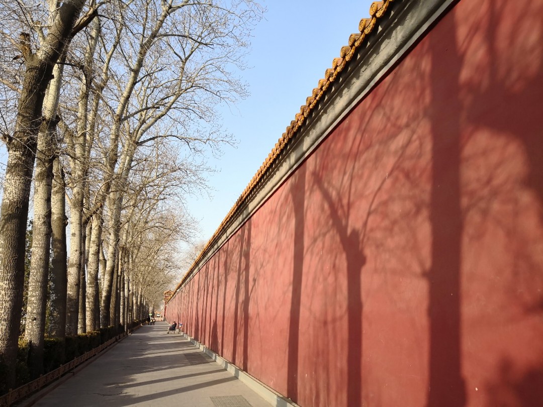 北京的冬天，去喝了杯啤酒。