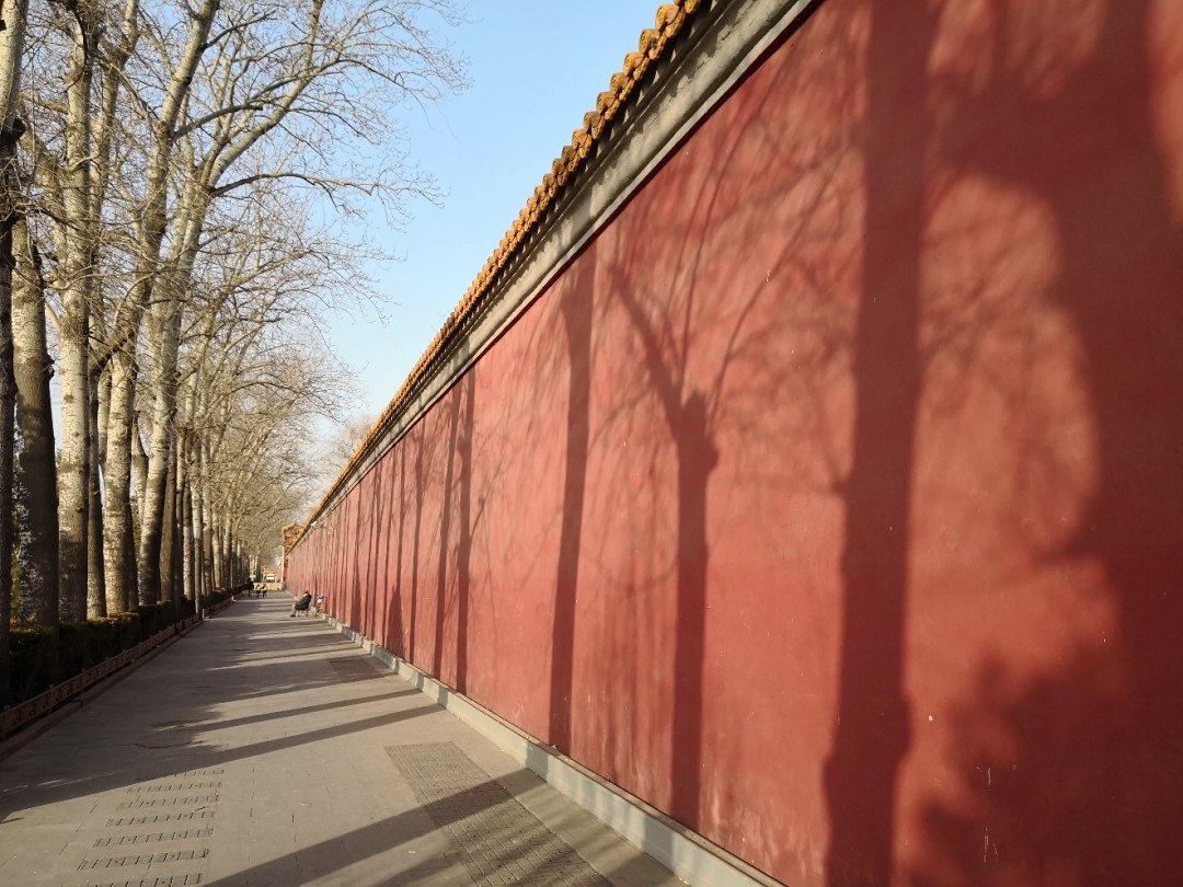 北京的冬天，去喝了杯啤酒。