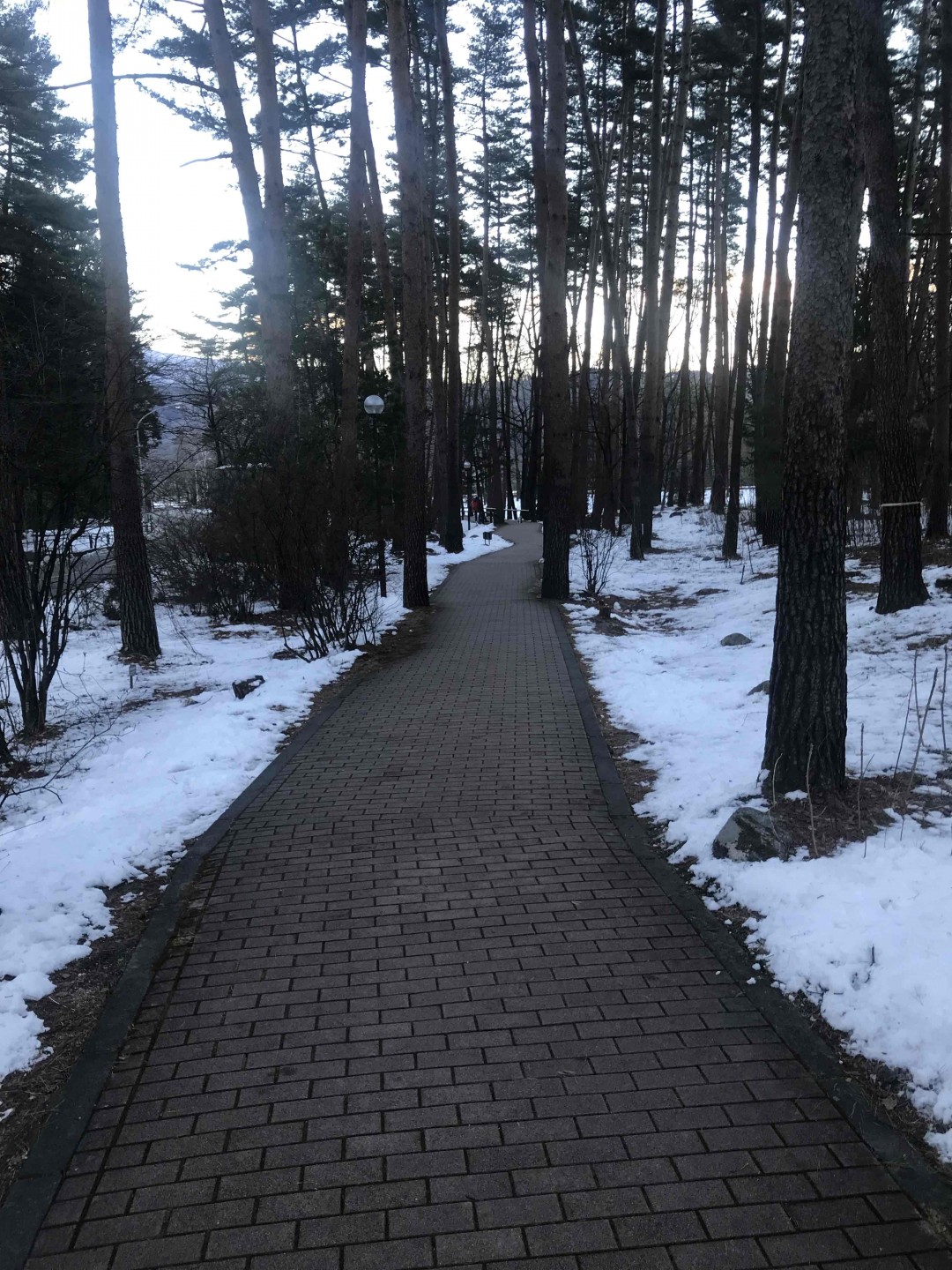 快过年了。大家准备开什么酒团聚？