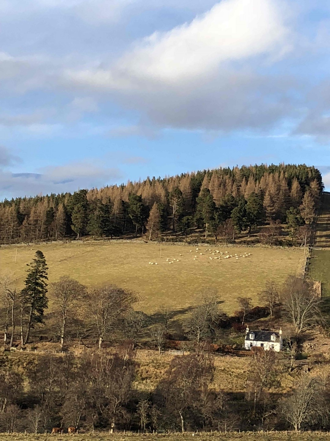 今天的收获，路漫漫……