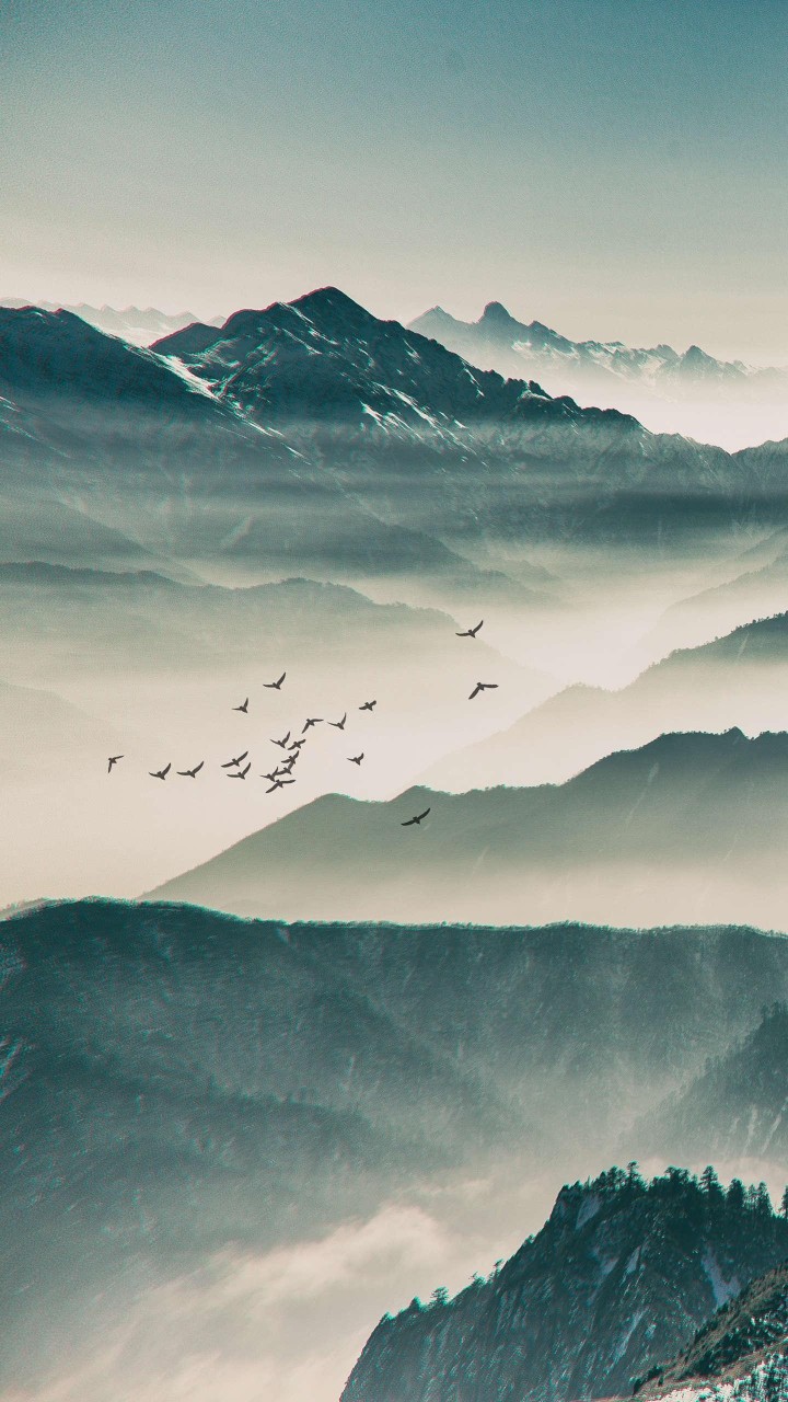 酒虫网周话题：所谓适合亚洲人口味的威士忌，是什么口味？